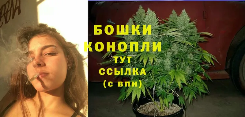 Канабис Bruce Banner  Белая Холуница 